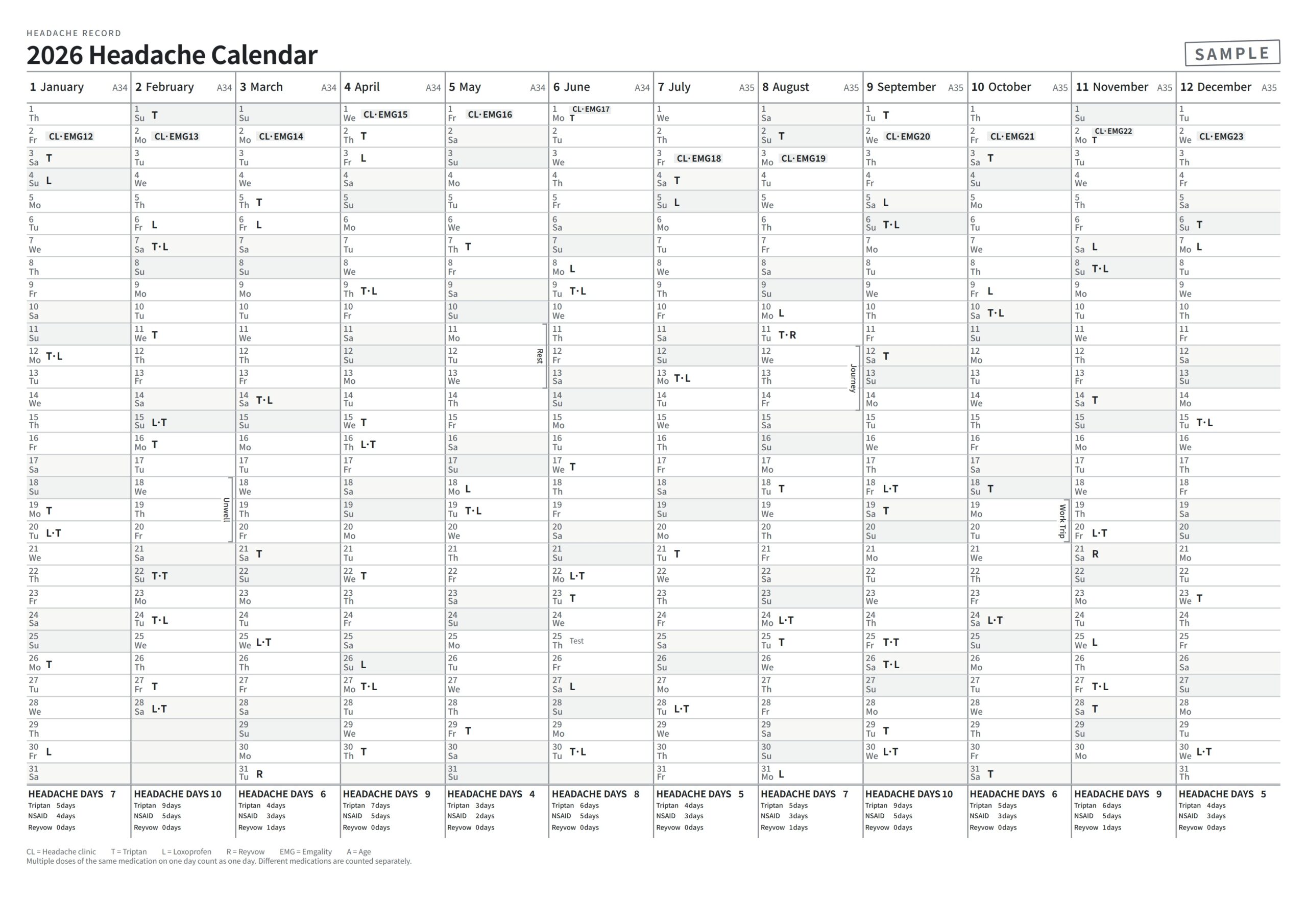 A 2026 annual headache diary calendar created with completely fictional sample data
