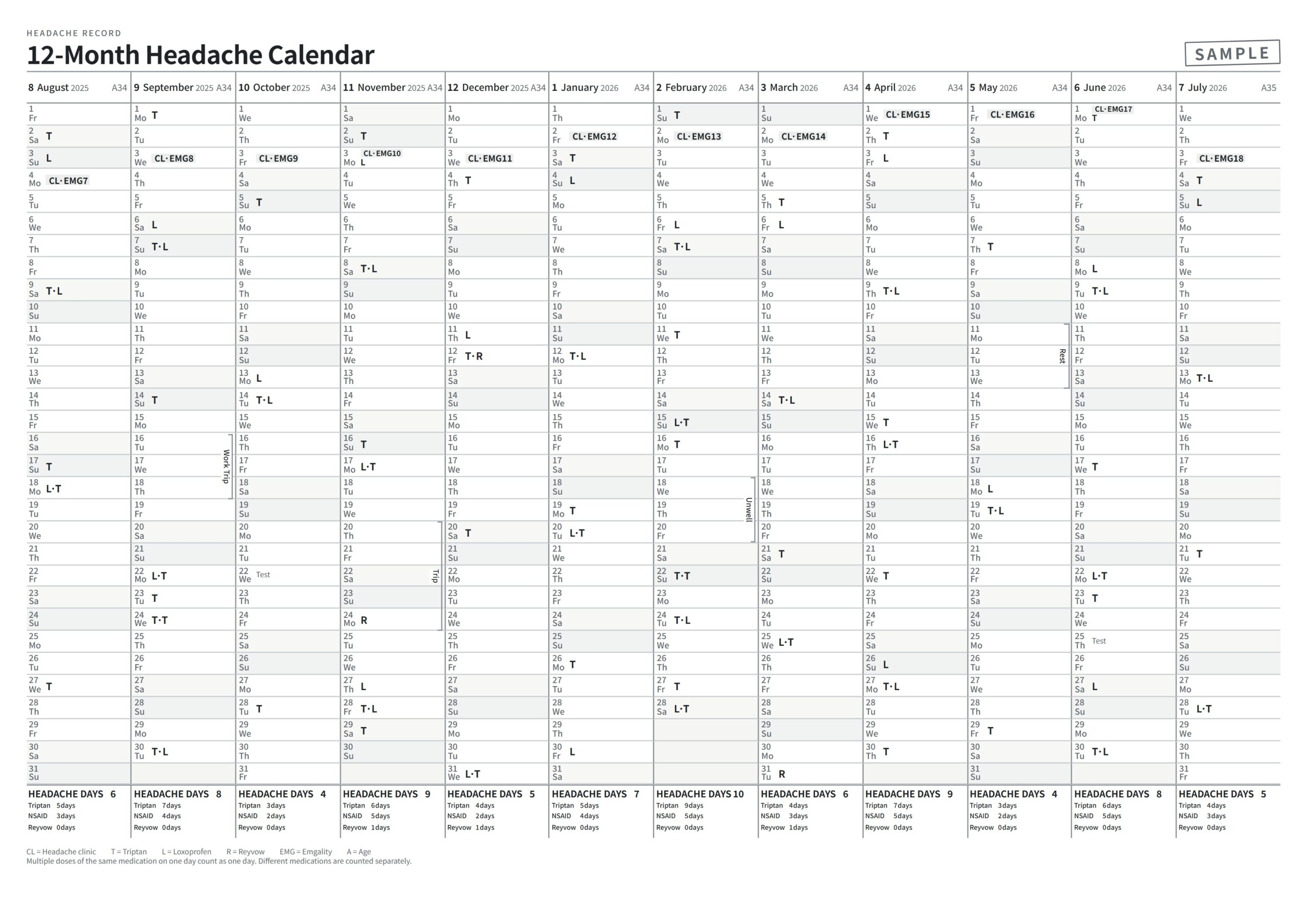 A rolling 12-month headache record calendar created with completely fictional sample data